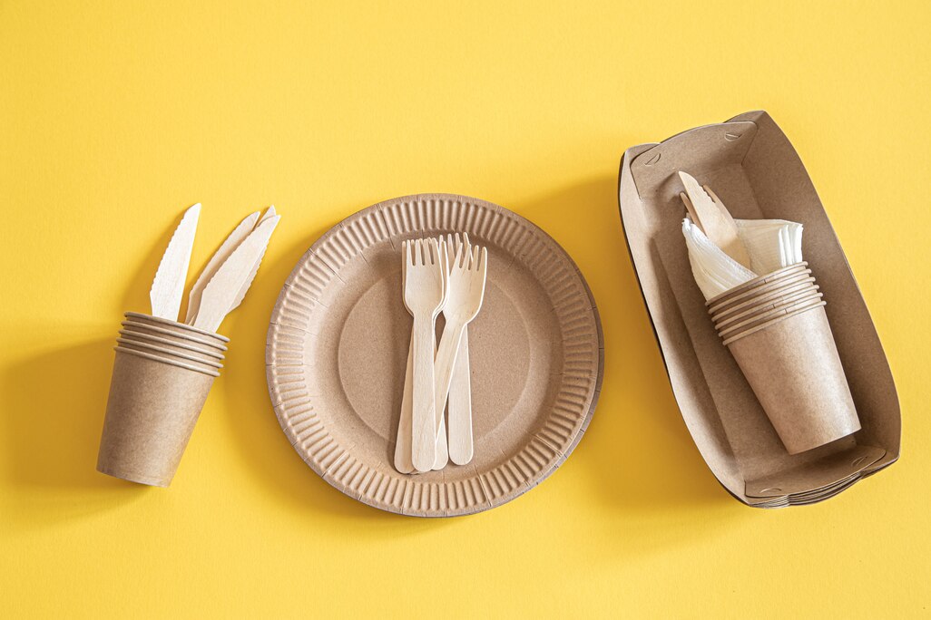 Are Compartment plates Eco Friendly? - Why You Should Use Compartment Plates for Adults?