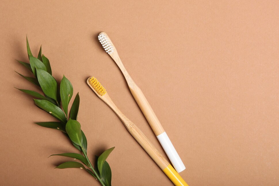 compostable toothbrush